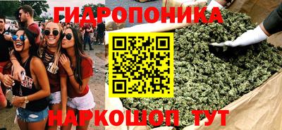 МДПВ Новокубанск