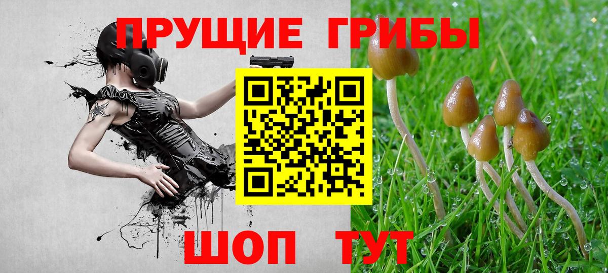 Галлюциногенные грибы Cubensis  дарнет шоп  Среднеуральск  Вход с VPN  Псилоцибиновые грибы MAGIC MUSHROOMS 