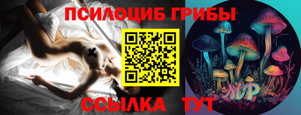 Галлюциногенные грибы Psilocybe Среднеуральск
